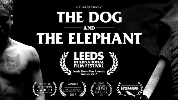 The Dog and the Elephant